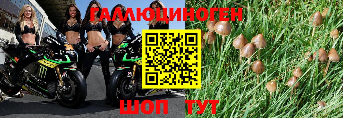 Псилоцибиновые грибы мухоморы Рубцовск
