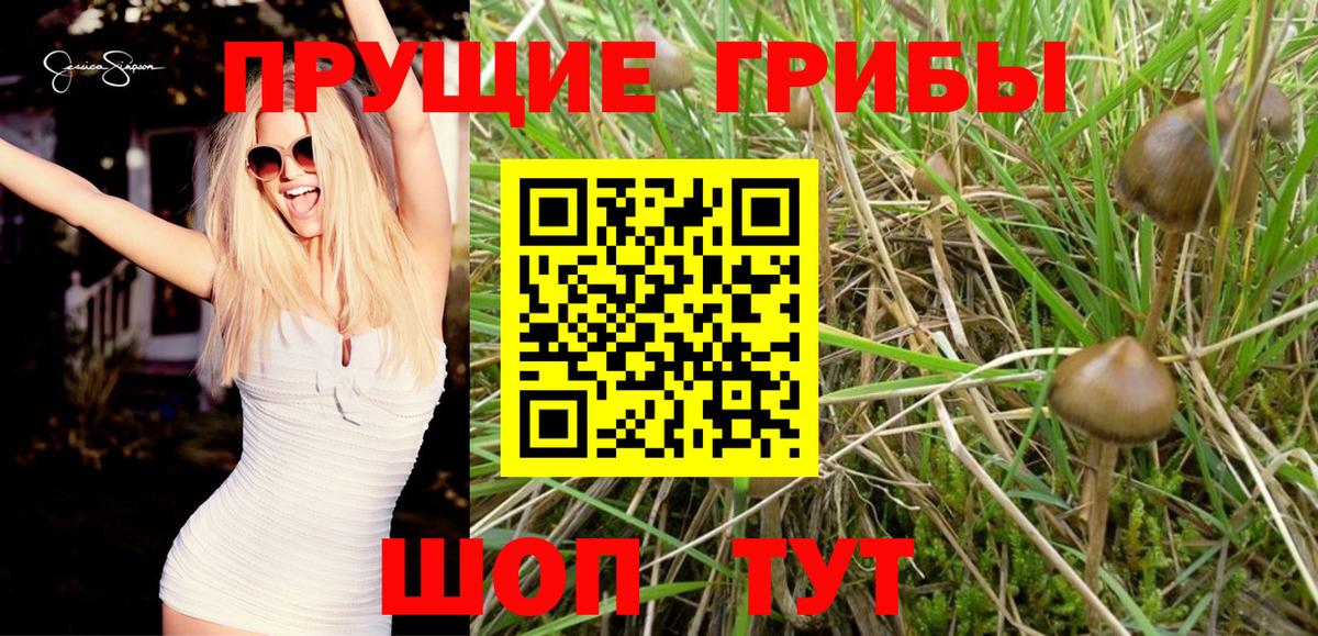 Псилоцибиновые грибы MAGIC MUSHROOMS  Псилоцибиновые грибы Magic Shrooms  Рубцовск  Вход с VPN 