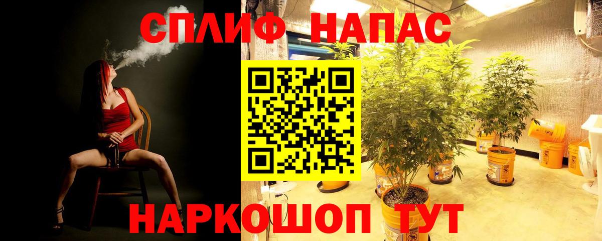 Канабис тримм  Марихуана сатива  Вход с VPN  Канабис Bruce Banner  Рубцовск 